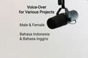 Jasa Voice Over / Dubbing (Pria & Wanita) - Indonesia, Inggris, Melayu.
