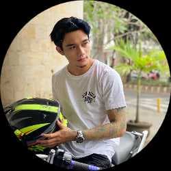 dedysetya