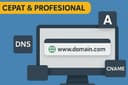 Pasang Domain ke Website/Hosting Profesional