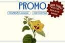 PROMO Content Planning dan Caption IG