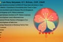 Kursus Private / Training Pemrograman & Teknologi IT (Web, Mobile, Kafka, Kubernetes, Cloud, dll)