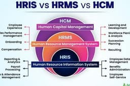 Jasa Konsultasi Human Resources dan Human Capital, Pembuatan Struktur Kinerja dan Penilaian Karyawan