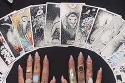 Jasa Baca Tarot
