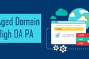 Jual Aged Domain High DA PA