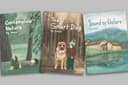 ilustrasi buku anak dan cover
