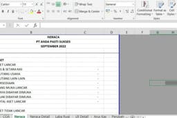 Membuat Laporan Keuangan cukup dengan Excel