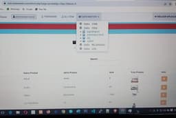 APLIKASI STOK DAN PENJUALAN CUSTOM