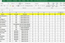 Data Entry Excel