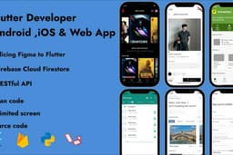Flutter Developer - Mobile App - Web App