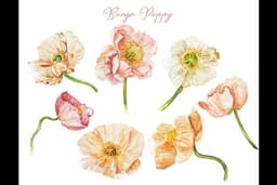 Watercolour Collection Bundle