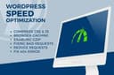 Optimasi PageSpeed | Meningkatkan Speed Kecepatan Website Wordpress
