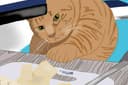 Ilustrasi kartun lucu, gambar untuk berbagai macam keperluan