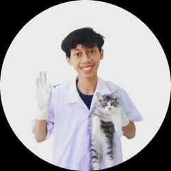 gigihfikri