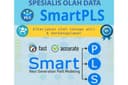 Olah Data SmartPLS, Spesialis SEM-PLS, Spesialis SmartPLS