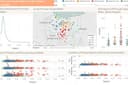 Data Analisis: Data Insights for Smarter Business Growth