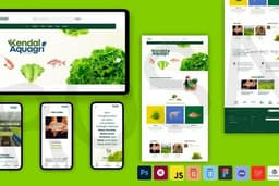 Website Toko Online, Kursus Online, E-Commerce, E-Course, Shopify, Custom