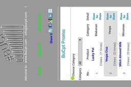 Advanced SEO (Search Engine Optimization)
