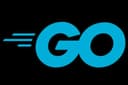 Golang / TypeScript / Javascript / NodeJS REST API For Desktop App