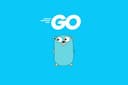 Go Backend Development