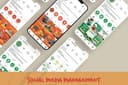 FEED INSTAGRAM PROFESIONAL DAN CEPAT