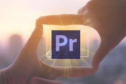 PROFESIONAL VIDEO EDITOR (ADOBE PREMIERE PRO 2020)