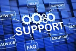 Troubleshooting Jaringan, Software, Bug Website