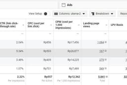Meta Ads Management (Jasa Facebook Ads)