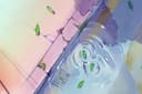 gambar Ilustrasi profesional, cocok untuk cover buku, anime, background animation, dsb