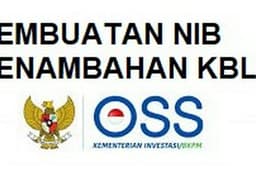 PERBAHARUI NIB E-KATALOG V.5 DAN V.6, PENAMBAHAN KBLI, PEMBUATAN NIB OSS RBA 