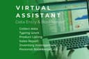 Jasa Data Entry & Bookkeeper ( Virtual Assistant)