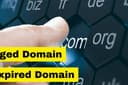 Jual Jasa Aged dan Expired Domain High DA PA