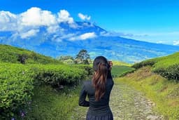 indahnya alam