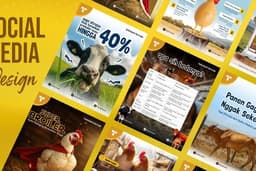 Jasa Desain Sosial Media Profesional dan Murah untuk Branding Bisnis