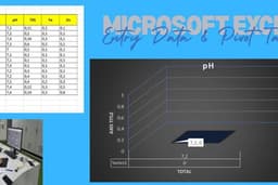 Entry Data