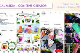 Social Media - Content Creator