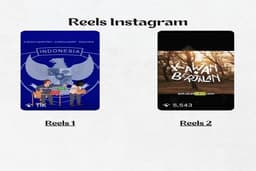 Instagram Reels, YouTube Shorts, TikTok