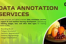 Jasa Labeling/Anotasi Data (Data Annotation)