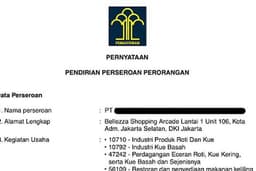 Terima Pendirian PT Perorangan Lengkap dengan NIB, NPWP dan akses OSS