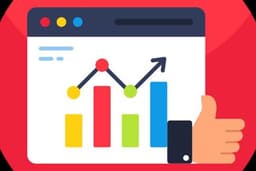 Data Analyst