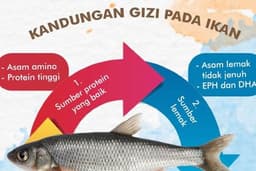 Jasa Membuat Desain Booklet sesuai Keinginanmu