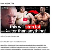SEO Articles