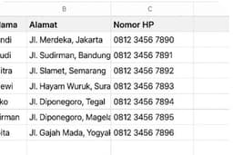 Freelance teliti-Input data