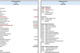 Laporan Keuangan dengan jurnal harian & General Ledger, sampai dengan Laporan Keuangan Final