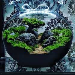 Aquascape Desain