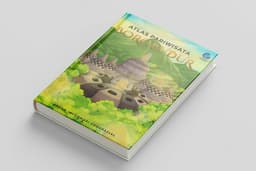 Book Cover Illustration