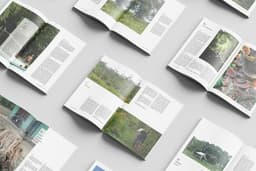 Desain layout Majalah