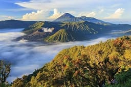 Trip to Bromo Tengger Semeru